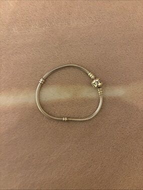 Pandora Silver Bracelet (Make Me an Offer)